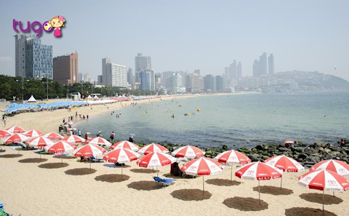 Bãi biển Haeundae – Busan cũng là một địa điểm được các nhà làm phim yêu thích trên màn ảnh Hàn Quốc